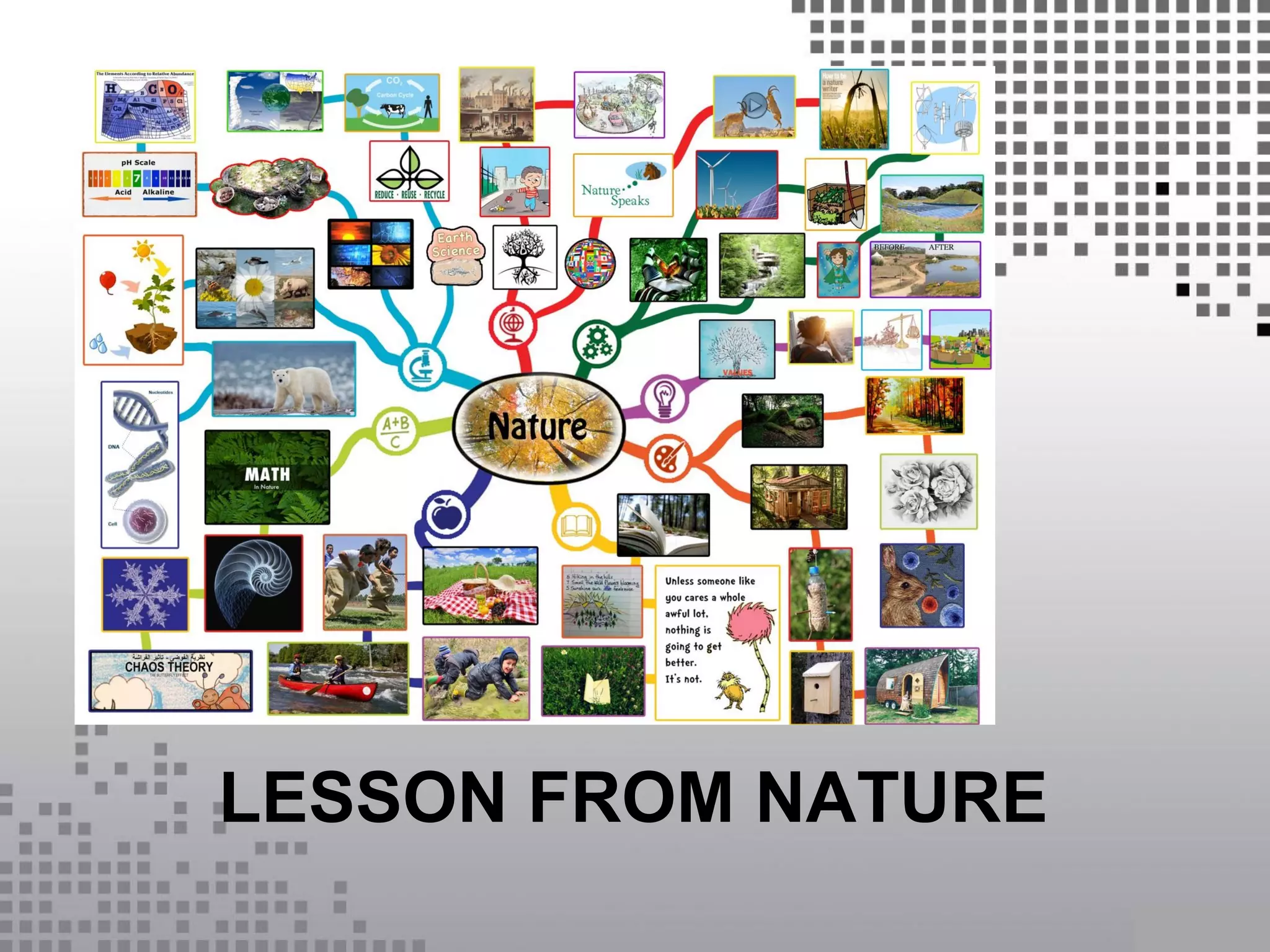 LESSON FROM NATURE
 
