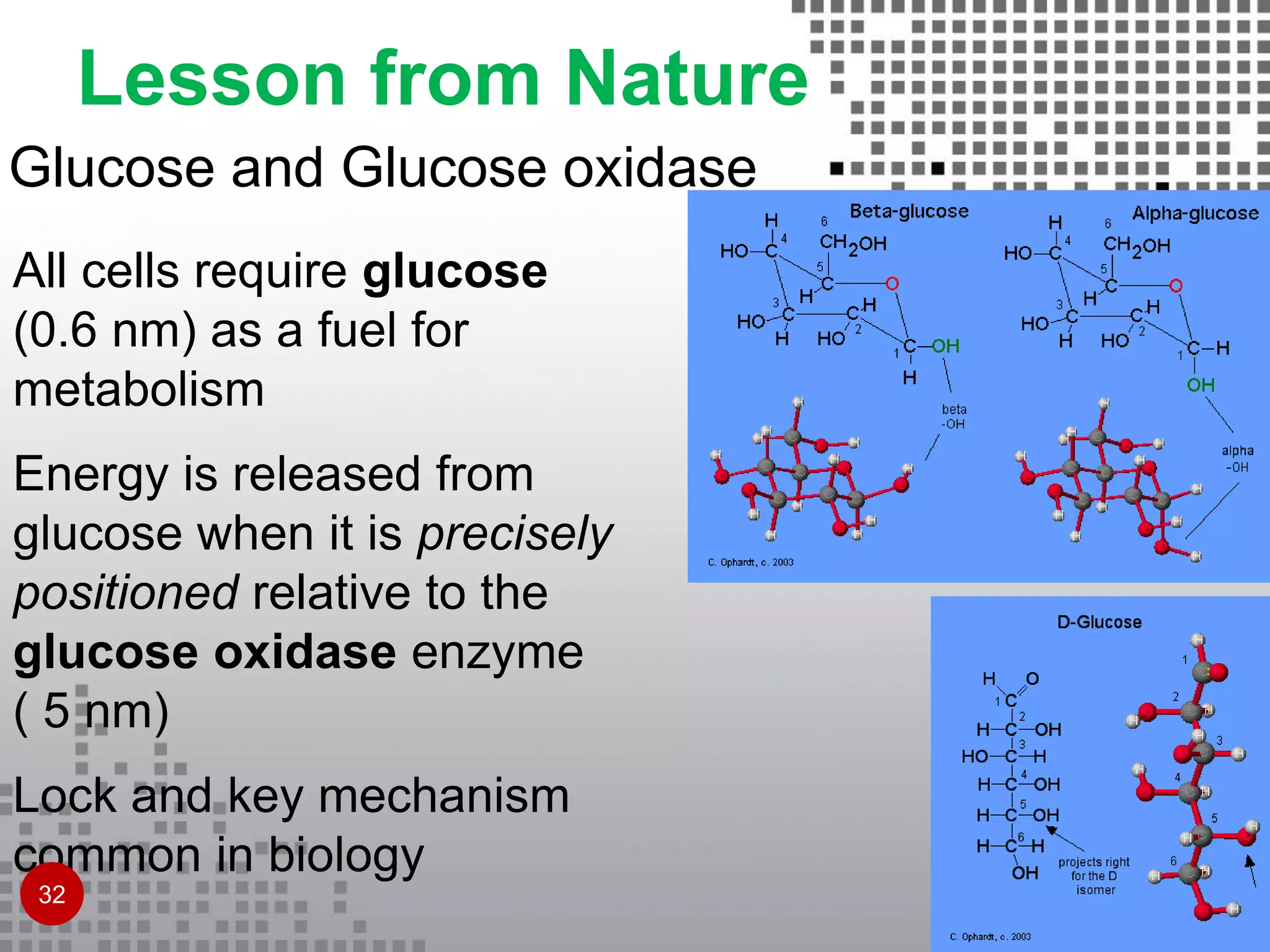 Glucose and Glucose oxidase
All cells require glucose
(0.6 nm) as a fuel for
metabolism
Energy is released from
glucose when it is precisely
positioned relative to the
glucose oxidase enzyme
( 5 nm)
Lock and key mechanism
common in biology
Lesson from Nature
32
 
