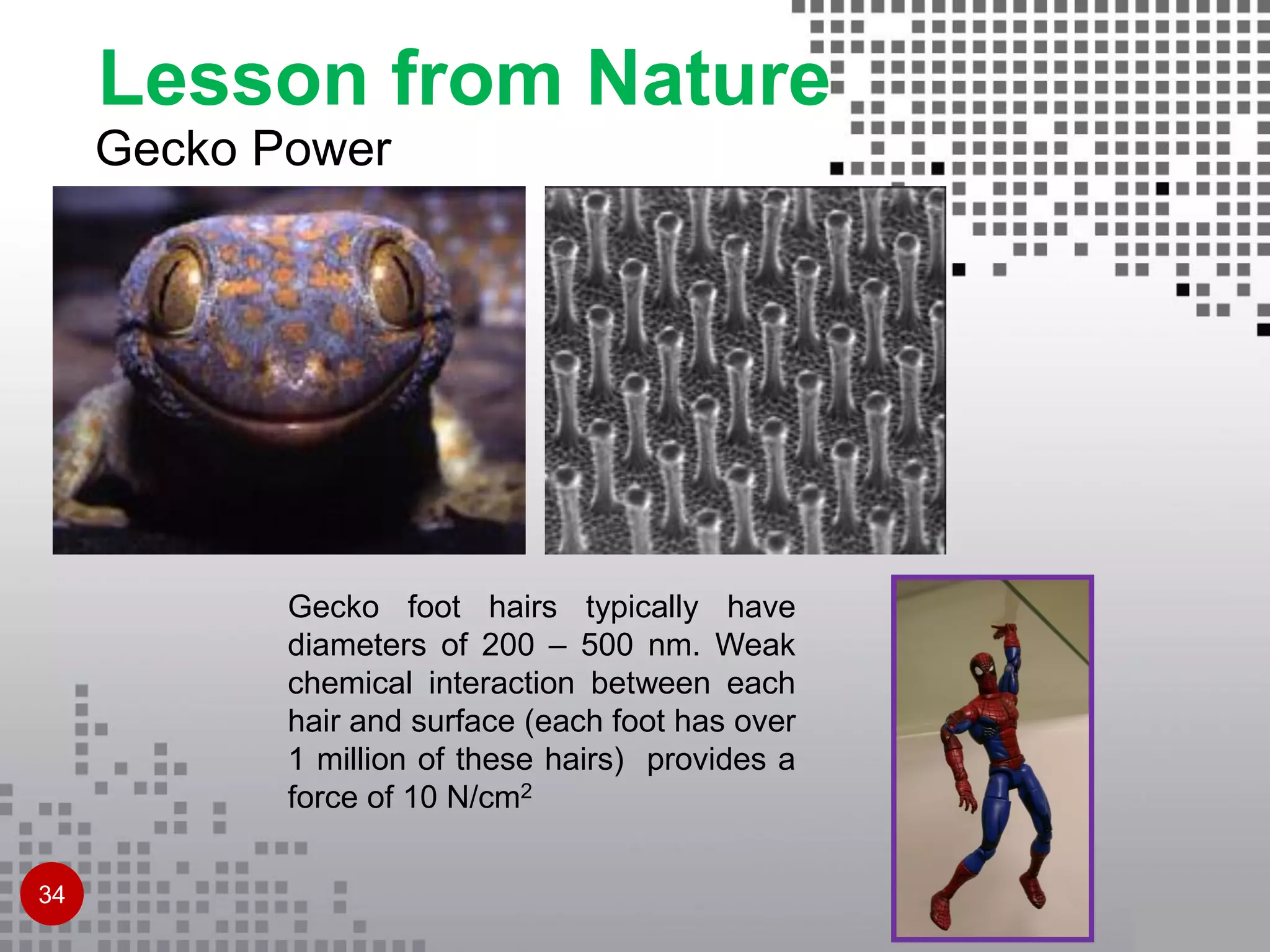 Gecko Power
Gecko foot hairs typically have
diameters of 200 – 500 nm. Weak
chemical interaction between each
hair and surface (each foot has over
1 million of these hairs) provides a
force of 10 N/cm2
Lesson from Nature
34
 