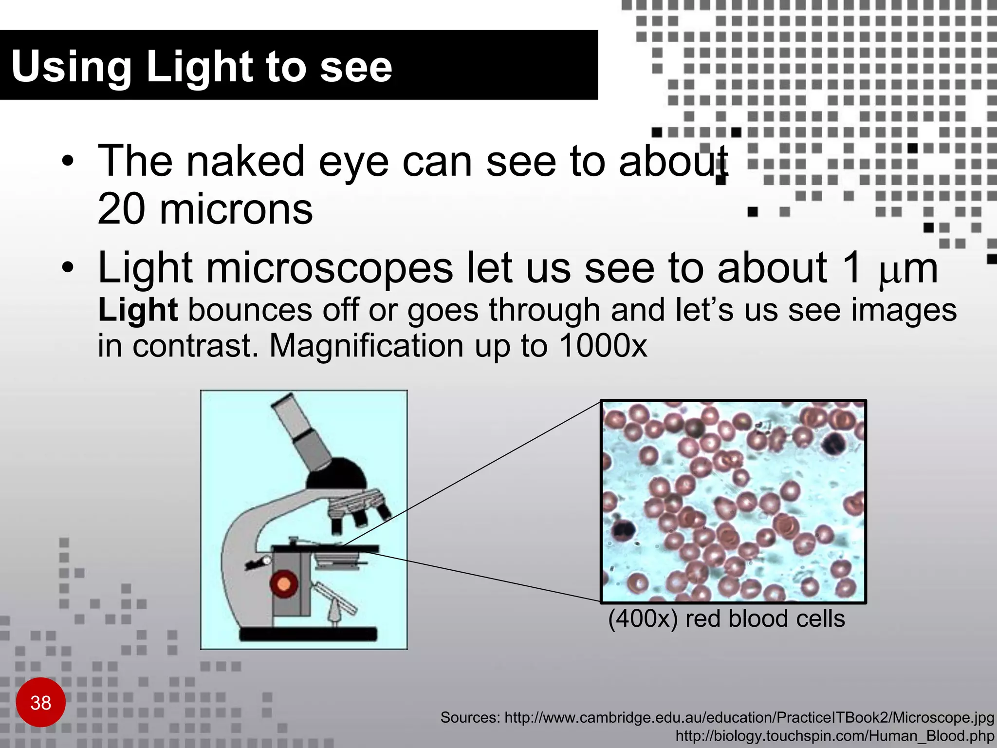 Sources: http://www.cambridge.edu.au/education/PracticeITBook2/Microscope.jpg
http://biology.touchspin.com/Human_Blood.php
• The naked eye can see to about
20 microns
• Light microscopes let us see to about 1 m
Light bounces off or goes through and let’s us see images
in contrast. Magnification up to 1000x
Using Light to see
38
(400x) red blood cells
 
