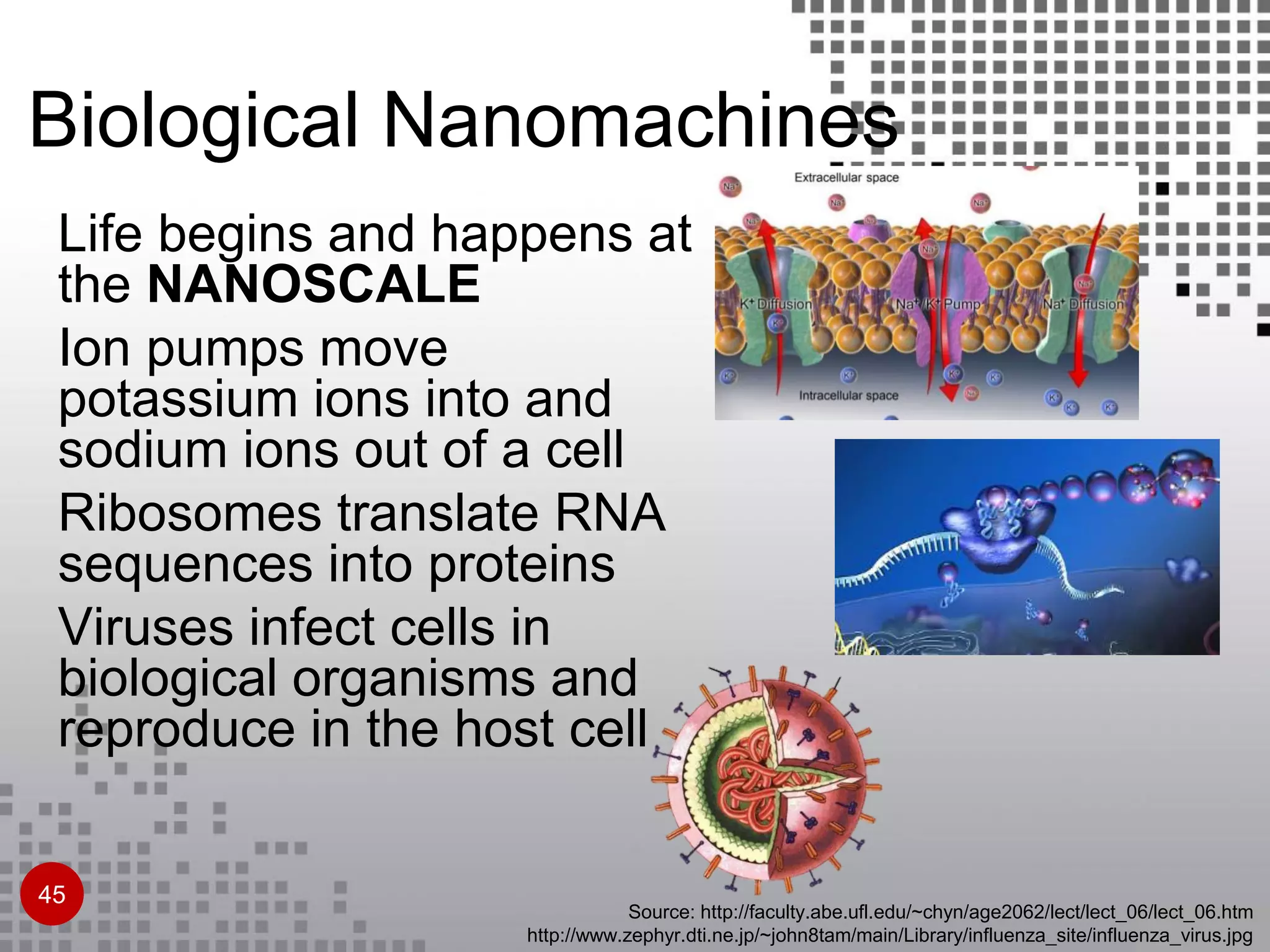 Source: http://faculty.abe.ufl.edu/~chyn/age2062/lect/lect_06/lect_06.htm
http://www.zephyr.dti.ne.jp/~john8tam/main/Library/influenza_site/influenza_virus.jpg
Life begins and happens at
the NANOSCALE
Ion pumps move
potassium ions into and
sodium ions out of a cell
Ribosomes translate RNA
sequences into proteins
Viruses infect cells in
biological organisms and
reproduce in the host cell
Biological Nanomachines
45
 