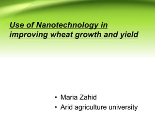 Use of Nanotechnology in
improving wheat growth and yield
• Maria Zahid
• Arid agriculture university
 