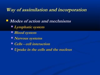  Modes of action and mechnisms
 Lymphatic system
 Blood system
 Nervous systems
 Cells - cell interaction
 Uptake in the cells and the nucleus
Way of assimilation and incorporation
 