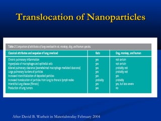 After David B. Warheit in Materialstoday February 2004
Translocation of NanoparticlesTranslocation of Nanoparticles
 
