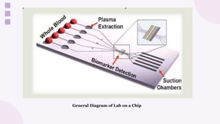 General Diagram of Lab on a Chip
 