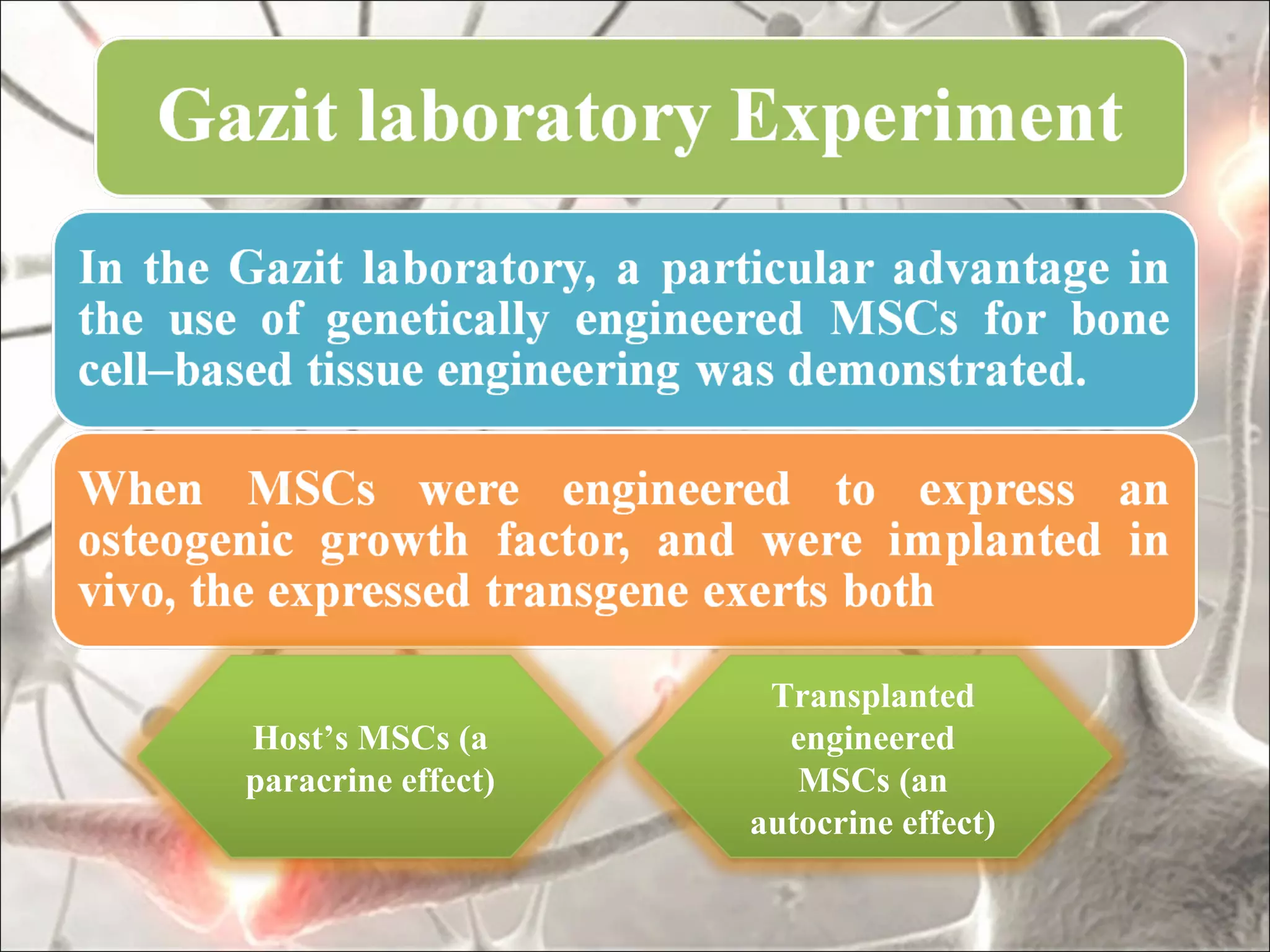Transplanted
Host’s MSCs (a        engineered
paracrine effect)      MSCs (an
                    autocrine effect)
 
