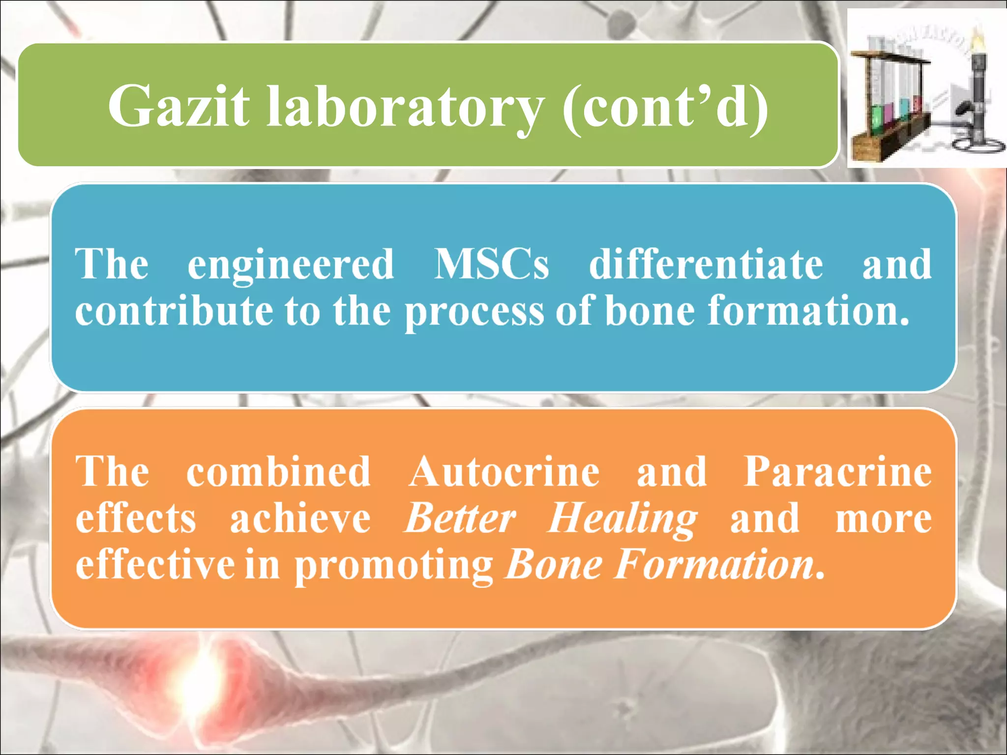 Gazit laboratory (cont’d)
 