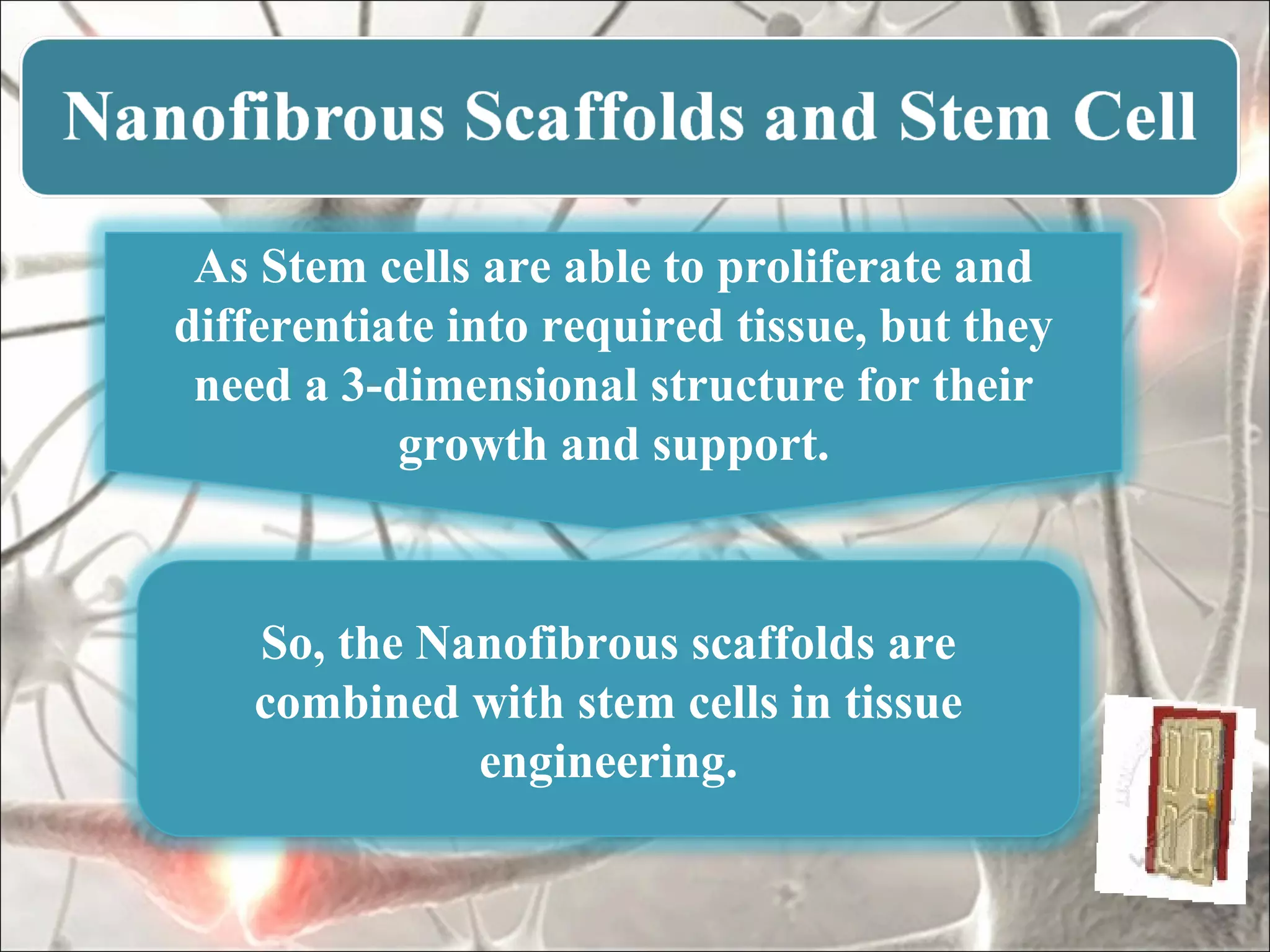 As Stem cells are able to proliferate and
differentiate into required tissue, but they
 need a 3-dimensional structure for their
           growth and support.



    So, the Nanofibrous scaffolds are
    combined with stem cells in tissue
              engineering.
 