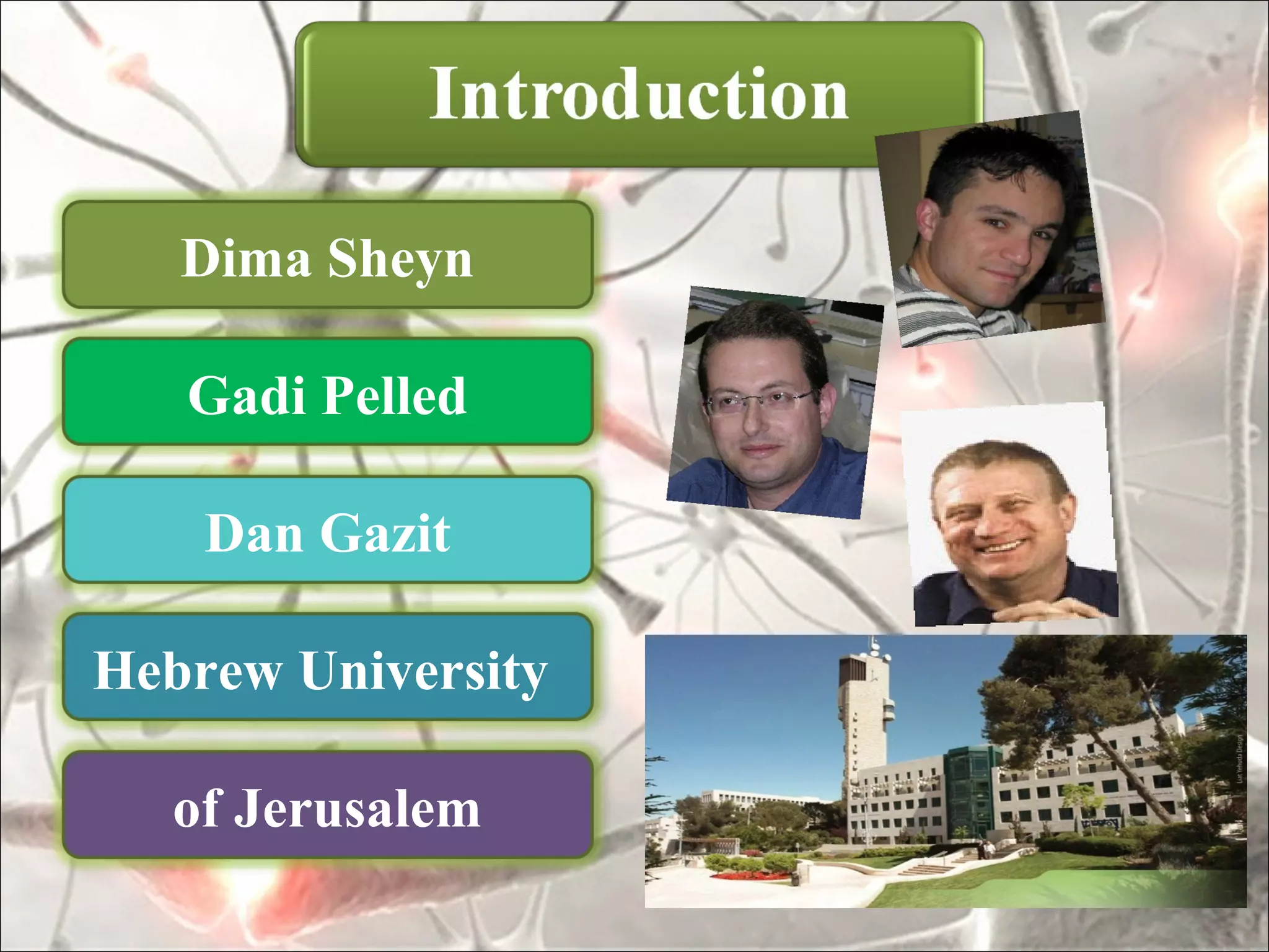 Dima Sheyn

   Gadi Pelled

    Dan Gazit

Hebrew University

  of Jerusalem
 