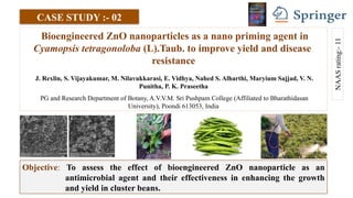 Nanotechnology in Vegetable Crop Production: Innovations and Case ...