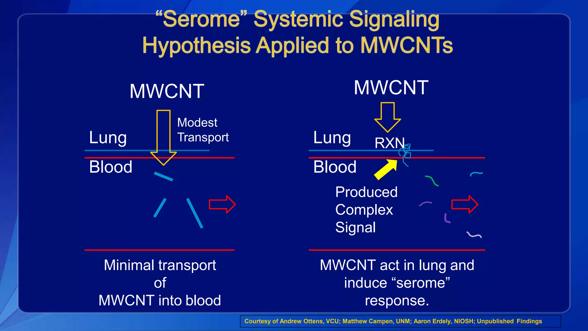 Lung
Blood
MWCNT
Lung RXN
Blood
Produced
Complex
Signal
Minimal transport
of
MWCNT into blood
MWCNT act in lung and
induce “serome”
response.
MWCNT
Modest
Transport
Courtesy of Andrew Ottens, VCU; Matthew Campen, UNM; Aaron Erdely, NIOSH; Unpublished Findings
 