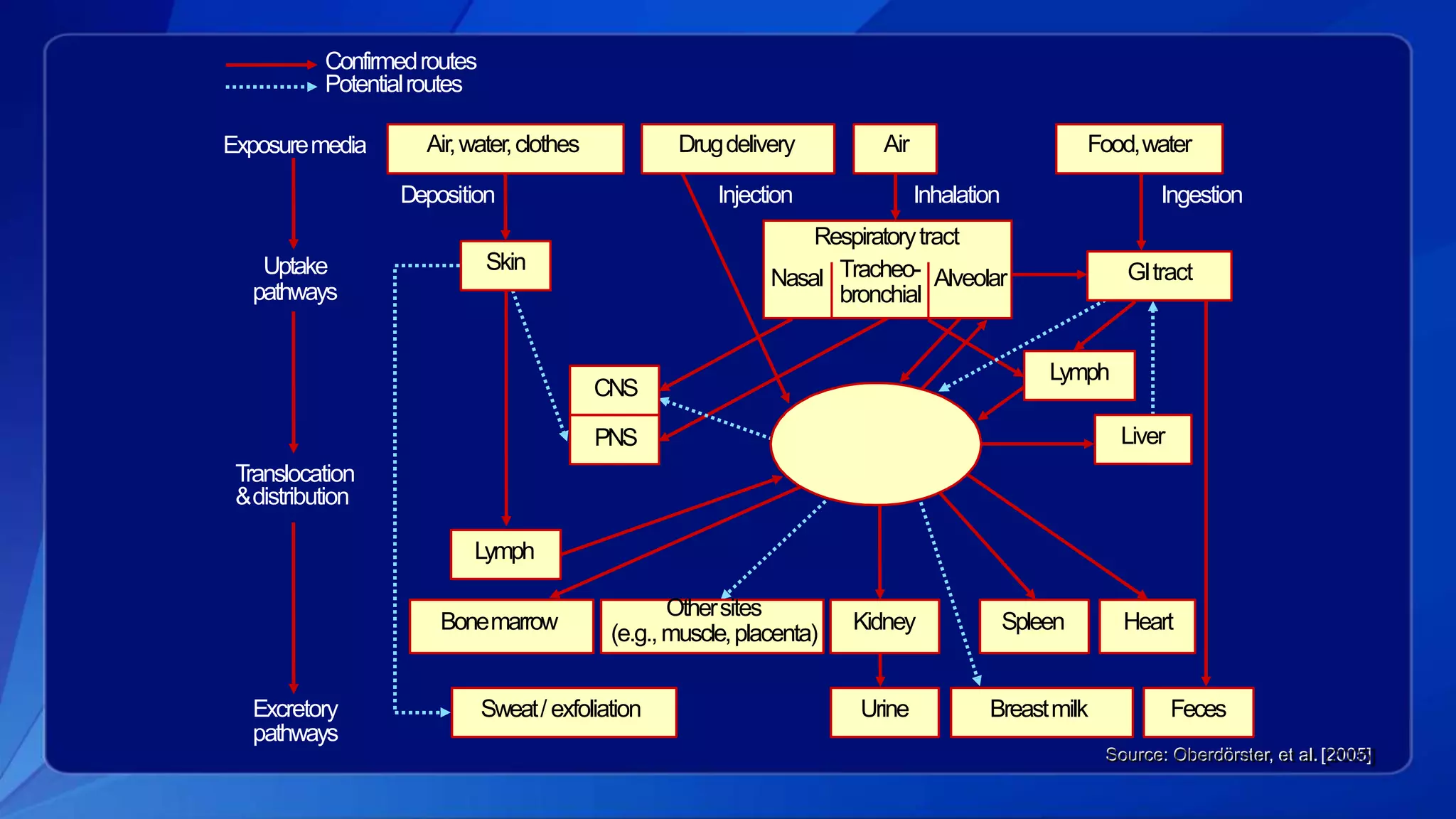 Othersites
(e.g.,muscle,placenta)
Injection Inhalation IngestionDeposition
Exposuremedia
Uptake
pathways
Translocation
&distribution
Excretory
pathways
CNS
PNS
Lymph
Bonemarrow Kidney Spleen Heart
GItract
Sweat/ exfoliation Urine Breastmilk Feces
Source: Oberdörster, et al. [2005]
Blood
(platelets,monocytes,
endothelialcells)
AirDrugdelivery Food,waterAir,water,clothes
Skin
Respiratorytract
Nasal Tracheo-
bronchial
Alveolar
Liver
Lymph
Confirmedroutes
Potentialroutes
 