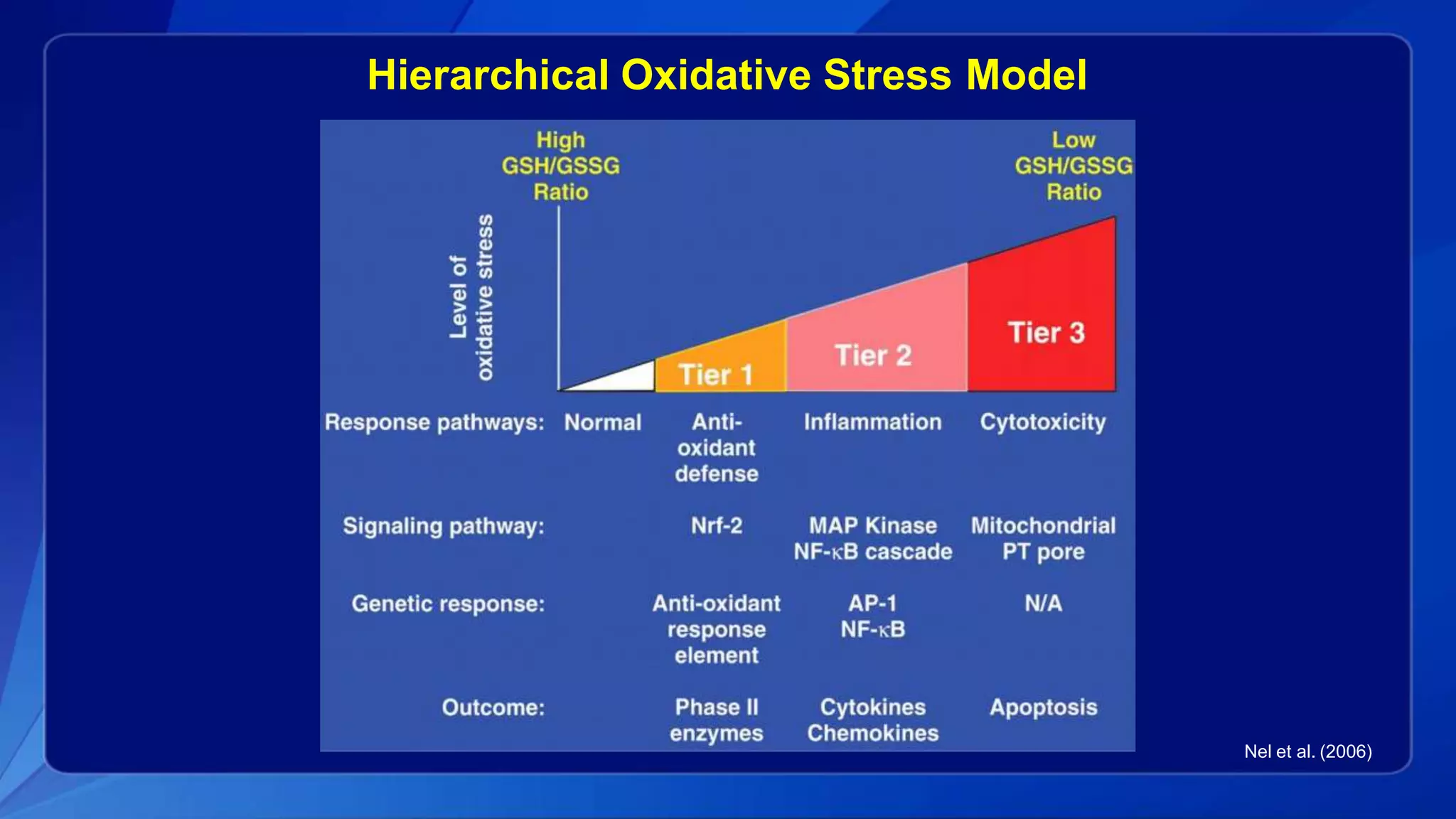 Nel et al. (2006)
Hierarchical Oxidative Stress Model
 