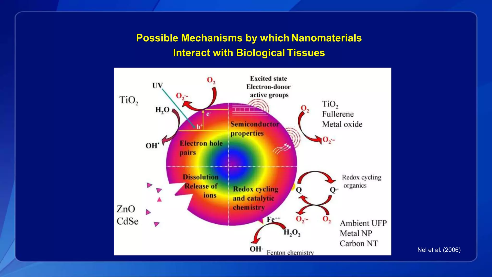 Nel et al. (2006)
Possible Mechanisms by which Nanomaterials
Interact with Biological Tissues
 