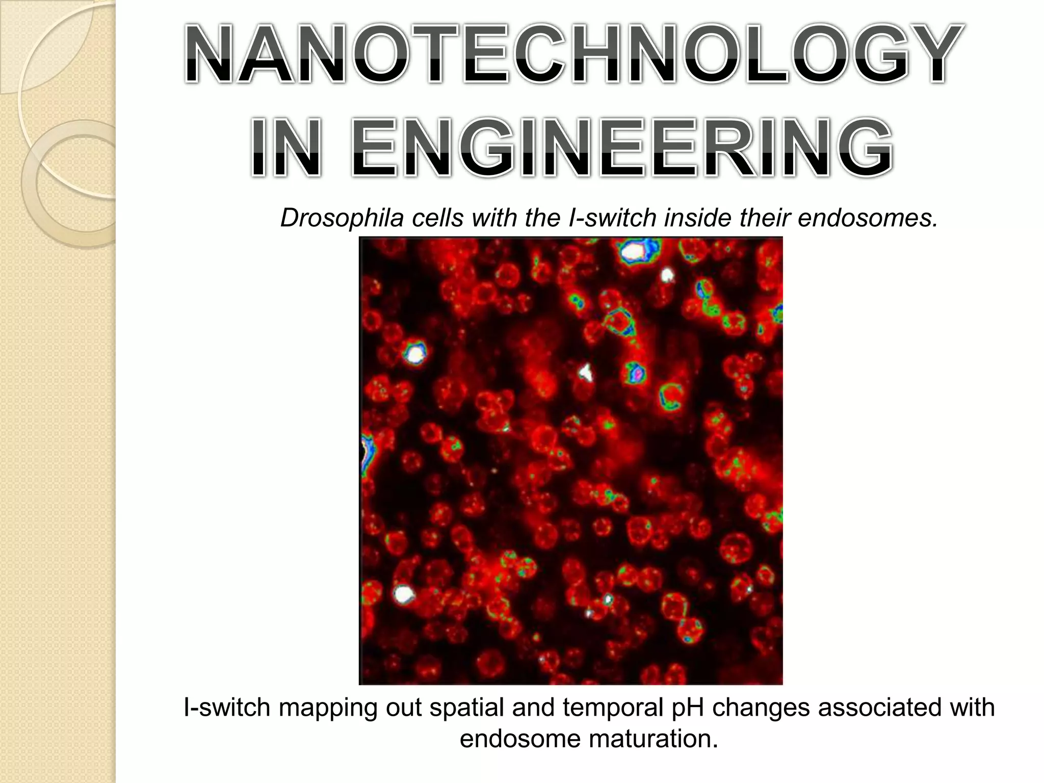 NANOTECHNOLOGY IN ENGINEERINGDrosophila cells with the I-switch inside their endosomes.I-switch mapping out spatial and temporal pH changes associated with endosome maturation.