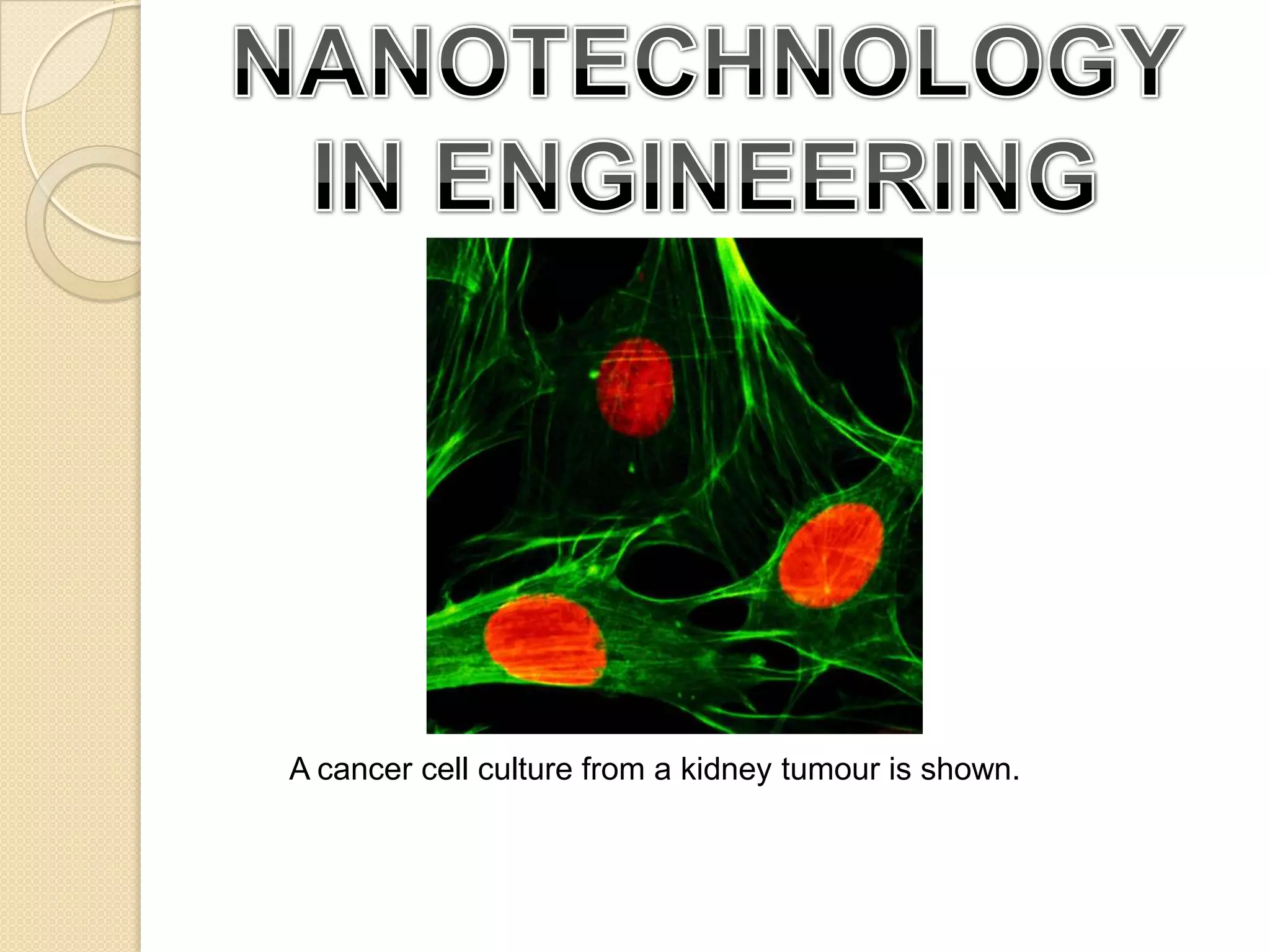 NANOTECHNOLOGY IN ENGINEERINGA cancer cell culture from a kidney tumour is shown. 