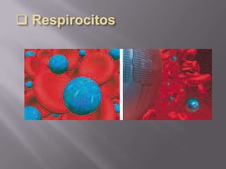 Nanotecnología