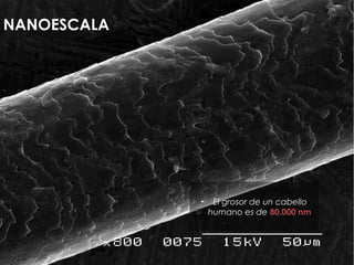 NANOESCALA




             ►    El grosor de un cabello
                 humano es de 80.000 nm
 