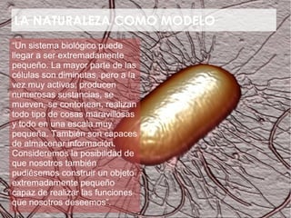 LA NATURALEZA COMO MODELO
“Un sistema biológico puede
llegar a ser extremadamente
pequeño. La mayor parte de las
células son diminutas, pero a la
vez muy activas: producen
numerosas sustancias, se
mueven, se contonean, realizan
todo tipo de cosas maravillosas
y todo en una escala muy
pequeña. También son capaces
de almacenar información.
Consideremos la posibilidad de
que nosotros también
pudiésemos construir un objeto
extremadamente pequeño
capaz de realizar las funciones
que nosotros deseemos”.
 