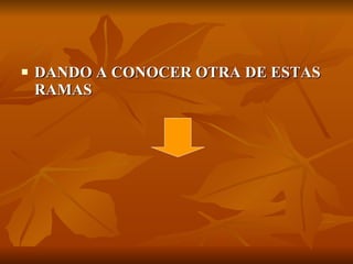    DANDO A CONOCER OTRA DE ESTAS
    RAMAS
 