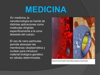 MEDICINA      En medicina, la nanotecnología es fuente de distintas aplicaciones como moléculas dirigidas específicamente a la zona deseada del cuerpo.El uso de nano partículas permite atravesar las membranas citoplasmática y nuclear para introducir material biológico-genético en células determinadas.