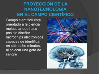 PROYECCIÓN DE LA NANOTECNOLOGÍAEN EL CAMPO CIENTÍFICO Campo científico está orientado a la ciencia molecular que hace posible diseñar microchips electrónicos capaces de identificar en sólo ocho minutos, al colocar una gota de sangre