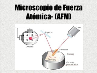 Microscopio de Fuerza Atómica- (AFM) 