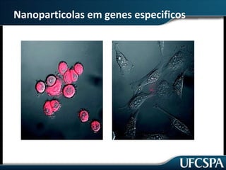Nanoparticolas em genes especificos 
 