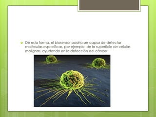 De esta forma, el biosensor podría ser capaz de detectar
moléculas específicas, por ejemplo, de la superficie de células
malignas, ayudando en la detección del cáncer.
 