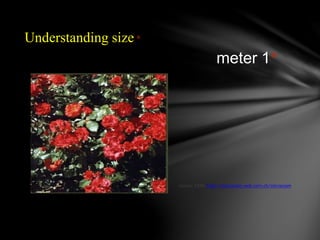 nanotecnology2-210529145106.pptx
