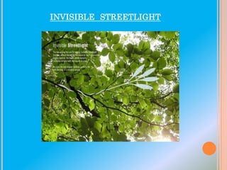 INVISIBLE STREETLIGHT

 