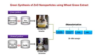 Green Synthesis of Nanoparticles and their Characterization | PPTX