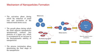 Green Synthesis of Nanoparticles and their Characterization | PPTX