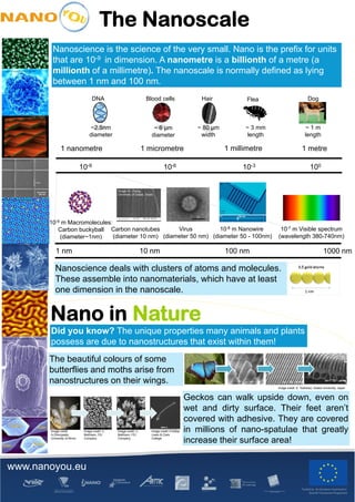 The Nanoscale
        Nanoscience is the science of the very small. Nano is the prefix for units
        that are 10-9 in dimension. A nanometre is a billionth of a metre (a
                    9

        millionth of a millimetre). The nanoscale is normally defined as lying
        between 1 nm and 100 nm.
                                    DNA                               Blood cells                       Hair            Flea                           Dog



                                  ~2.5nm                                    ~ 6 μm                     ~ 80 μm         ~ 3 mm                        ~1m
                                  diameter                                 diameter                     width           length                       length

              1 nanometre                                           1 micrometre                                 1 millimetre                     1 metre

                             10-9                                                  10-6                               10-3                              100


                                                 Image: M. Zhang,
                                                 University of Dallas, Texas




       10-9 m Macromolecules:
          Carbon buckyball Carbon nanotubes         Virus          10-8 m Nanowire                                                10-7 m Visible spectrum
           (diameter~1nm)     (diameter 10 nm) (diameter 50 nm) (diameter 50 - 100nm)                                            (wavelength 380-740nm)

          1 nm                                                      10 nm                                        100 nm                                           1000 nm

          Nanoscience deals with clusters of atoms and molecules.
          These assemble into nanomaterials which have at least
                               nanomaterials,
          one dimension in the nanoscale.


       Nano in Nature
       Did you know? The unique p p
           y                  q properties many animals and p
                                                  y              plants
       possess are due to nanostructures that exist within them!
       The beautiful colours of some
                                                                                                        ~2nm              ~5nm
       butterflies and moths arise from
       nanostructures on their wings.
                                                                                                                                 Image credit: S. Yoshioka, Osaka University, Japan


                                                                                                    Geckos can walk upside down, even on
                                                                                                    wet and dirty surface. Their feet aren’t
                                                                                                    covered with adhesive. They are covered
       Image credit:
       A.Dhinojwala,
                              Image credit: C.
                              Mathisen, FEI
                                                 Image credit: C.
                                                 Mathisen, FEI
                                                                          Image credit: A.Kellar,
                                                                          Lewis & Clark
                                                                                                    in millions of nano-spatulae that greatly
       University of Akron    Company            Company                  College
                                                                                                    increase their surface area!


www.nanoyou.eu
 