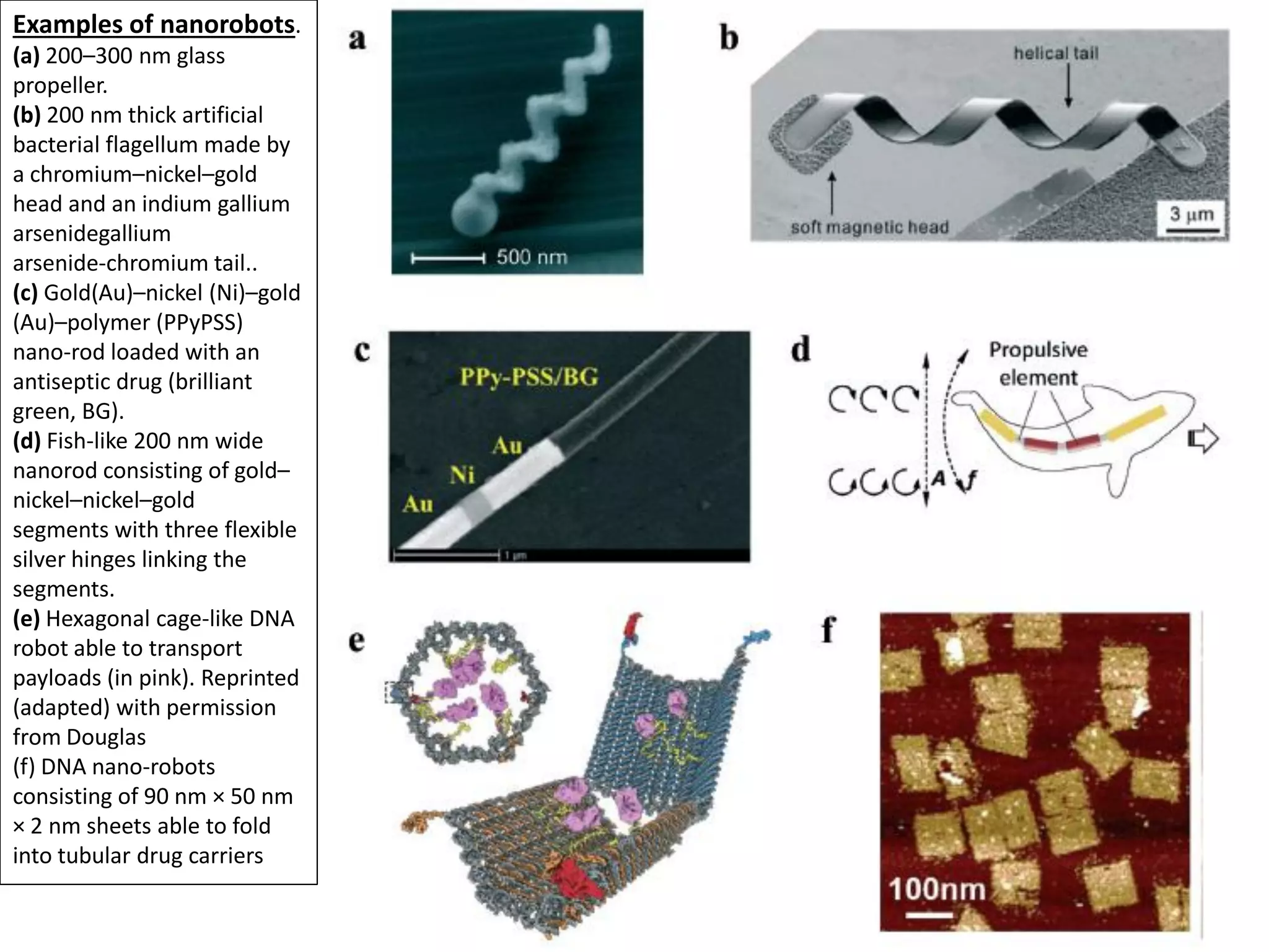 Examples of nanorobots.
(a) 200–300 nm glass
propeller.
(b) 200 nm thick artificial
bacterial flagellum made by
a chromium–nickel–gold
head and an indium gallium
arsenidegallium
arsenide-chromium tail..
(c) Gold(Au)–nickel (Ni)–gold
(Au)–polymer (PPyPSS)
nano-rod loaded with an
antiseptic drug (brilliant
green, BG).
(d) Fish-like 200 nm wide
nanorod consisting of gold–
nickel–nickel–gold
segments with three flexible
silver hinges linking the
segments.
(e) Hexagonal cage-like DNA
robot able to transport
payloads (in pink). Reprinted
(adapted) with permission
from Douglas
(f) DNA nano-robots
consisting of 90 nm × 50 nm
× 2 nm sheets able to fold
into tubular drug carriers
 