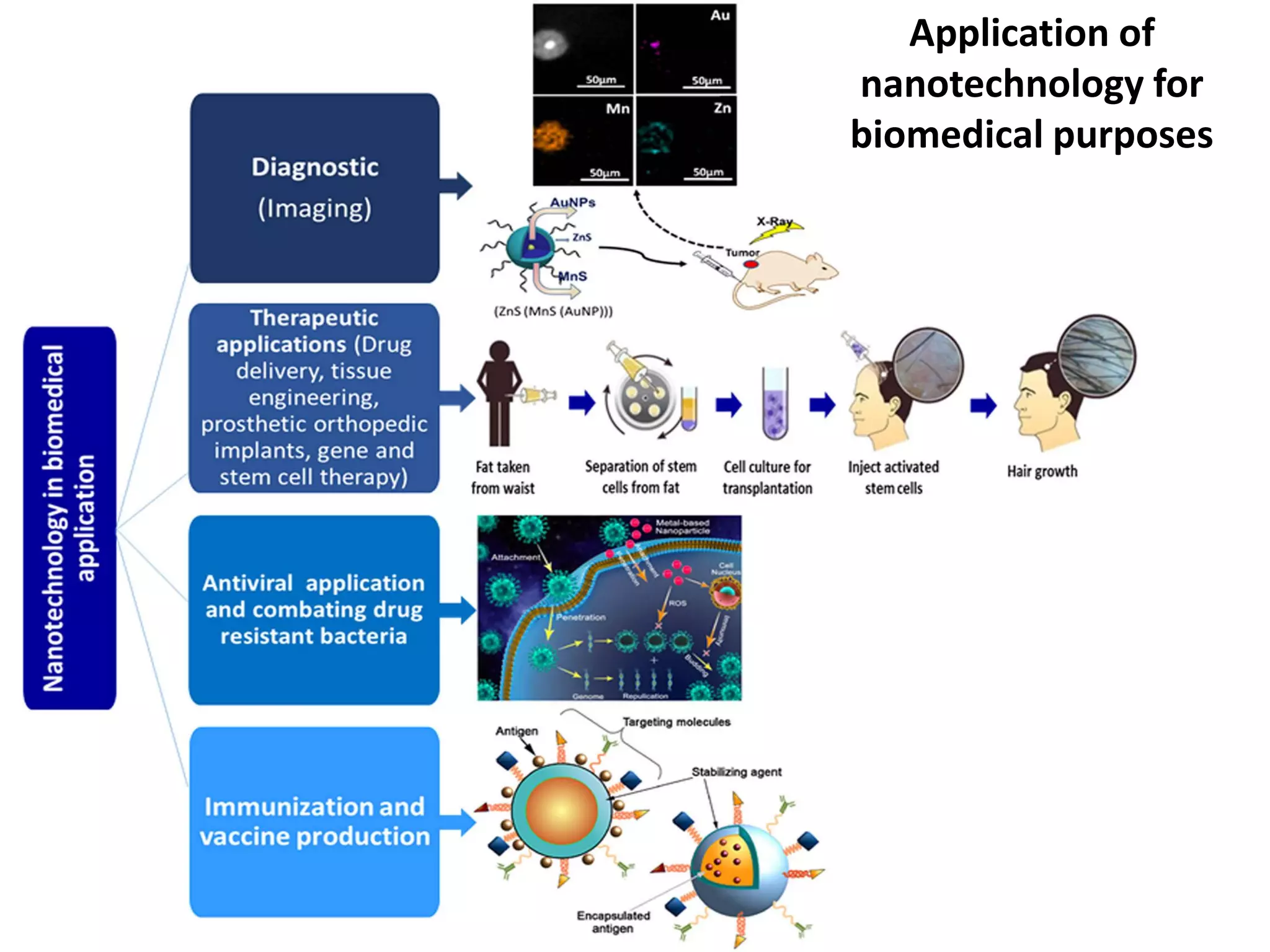 Application of
nanotechnology for
biomedical purposes
 