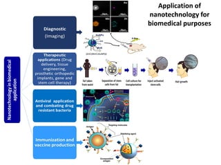 Application of
nanotechnology for
biomedical purposes
 
