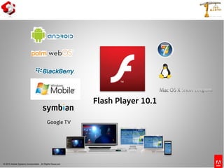 © 2010 Adobe Systems Incorporated. All Rights Reserved.
Flash Player 10.1
Flash Player 10.1
Google TV
 