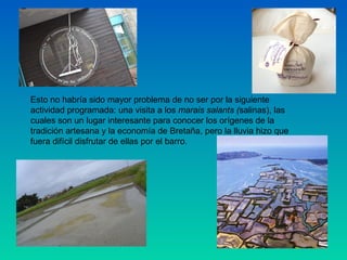 Esto no habría sido mayor problema de no ser por la siguiente
actividad programada: una visita a los marais salants (salinas), las
cuales son un lugar interesante para conocer los orígenes de la
tradición artesana y la economía de Bretaña, pero la lluvia hizo que
fuera difícil disfrutar de ellas por el barro.

 