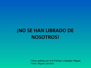 ¡NO SE HAN LIBRADO DE
NOSOTROS!

Fotos cedidas por Ana Fariñas e Isabella Villegas
Texto: Miguel Lahuerta

 