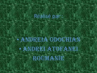 Réalisé par :
• ANDREIA ODOCHIAN
• ANDREI ATOFANEI
rOUMANIE
 