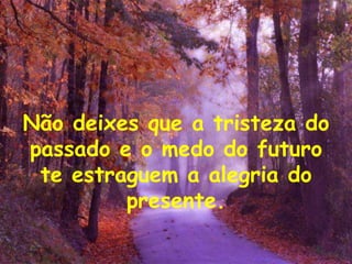 Não deixes que a tristeza do passado e o medo do futuro te estraguem a alegria do presente. 