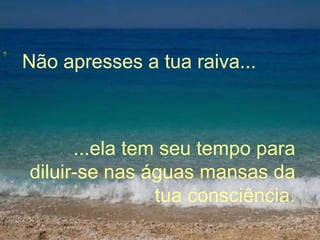 Não apresses a tua raiva... ...ela tem seu tempo para diluir-se nas águas mansas da tua consciência. 