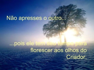 Não apresses o outro... ...pois ele tem seu tempo para florescer aos olhos do Criador. 