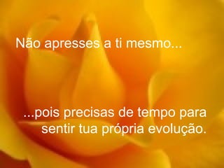 Não apresses a ti mesmo... ...pois precisas de tempo para sentir tua própria evolução. 