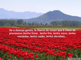 Se tu vences, serás mais humilde, mais agradecido... Portan-to, facilmente  feliz, livre do enorme peso da culpa, da res-ponsabilidade e da vaidade, disposto a viver cada instante profundamente, como deve ser.  Se a doença ganha, te liberta do corpo que é cheio de processos (tenho fome,  tenho frio, tenho sono, tenho vontades, tenho razão, tenho dúvidas)...  