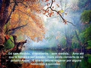 Dá sem medida,  e receberás  sem medida.  Ama até que te tornes o ser amado;  mais ainda converte-te no próprio Amor.  E não te deixes enganar por alguns homicidas e suicidas.  Dá sem medida,  e receberás  sem medida.  Ama até que te tornes o ser amado;  mais ainda converte-te no próprio Amor.  E não te deixes enganar por alguns homicidas e suicidas.  