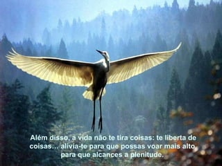 Além disso, a vida não te tira coisas: te liberta de coisas… alivia-te para que possas voar mais alto, para que alcances a plenitude.  Além disso, a vida não te tira coisas: te liberta de coisas… alivia-te para que possas voar mais alto, para que alcances a plenitude.  