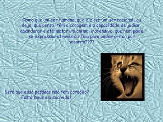 Como que um ser humano, que diz ser um ser racional, ou seja, que pensa, têm a coragem e a capacidade de judiar, abandonar e até matar um animal inofensivo, que nem pode se expressar através da fala para poder gritar por socorro???? Será que essa pessoas não tem coração? Falta Deus em sua vida? 