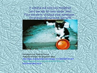 E AINDA HÁ COISAS PIORES!!! Será que não há como mudar isso? Faça sua parte: divulgue essa mensagem... Os animais não merecem sofrer!!!! Formatado por: Patrícia Perrud Imagens retiradas dos seguintes sites: http://www.vivaosanimais.com.br/page_1115262263734.html http://www.pea.org.br/crueldade/testes/tfotos.htm http://www.alpa.org.br/ 